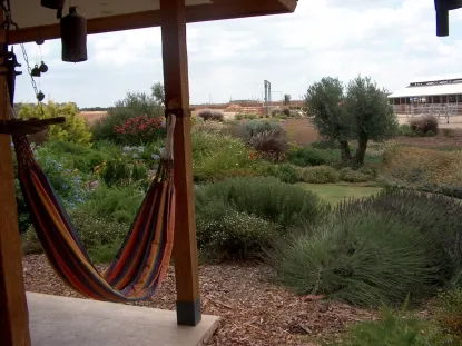 גינות לגלריה 31